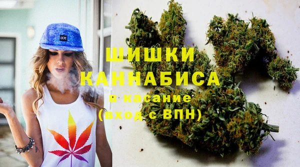мяу мяу мука Надым