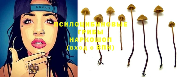 эйфоретик Нефтекумск