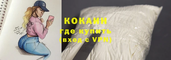 шишки Белая Холуница