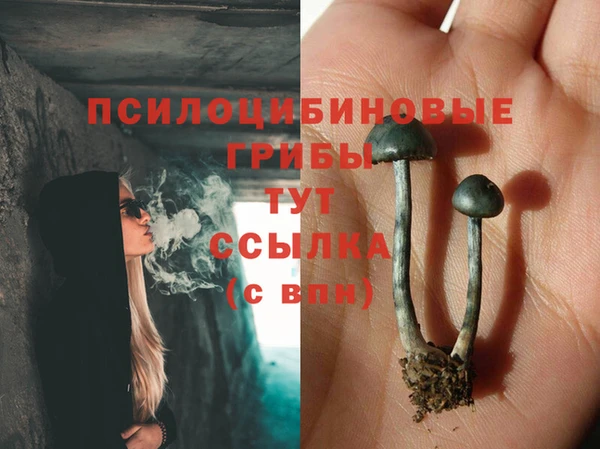 MESCALINE Заволжье