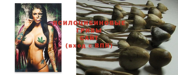 apvp Гатчина